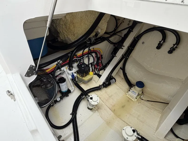 Slide: The Image of Regulator Marine 30XO 2024 - 7669965
