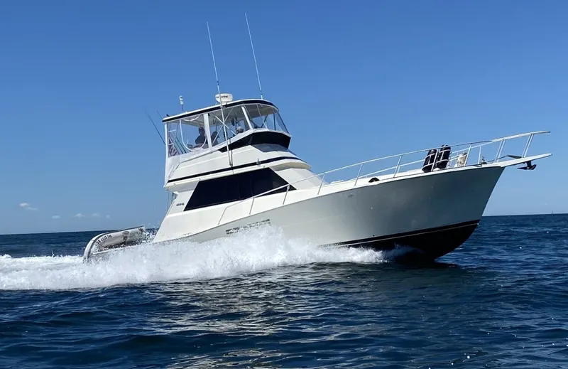 The Image of Viking Viking 41 Convertible 1989 - 7723464