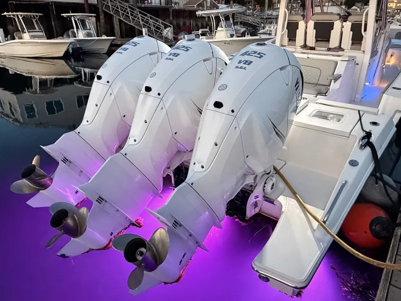 Slide: The Image of Pursuit S378 2022 - 7764386