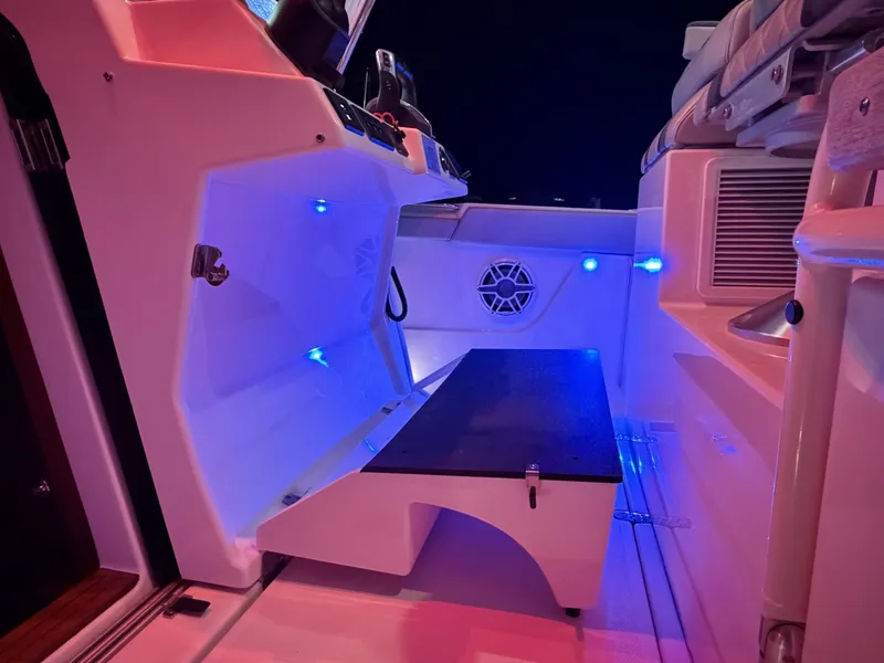 Slide: The Image of Pursuit S378 2022 - 7764436