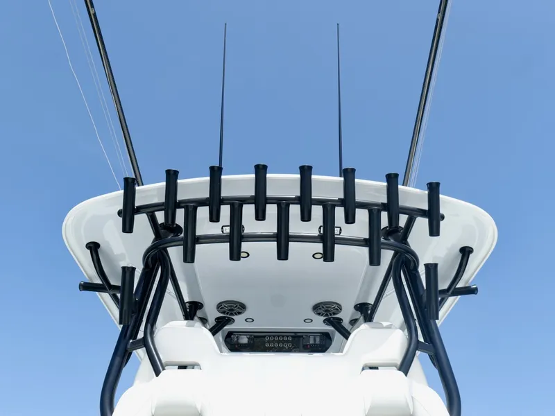 Slide: The Image of Freeman 38 2024 - 7725402