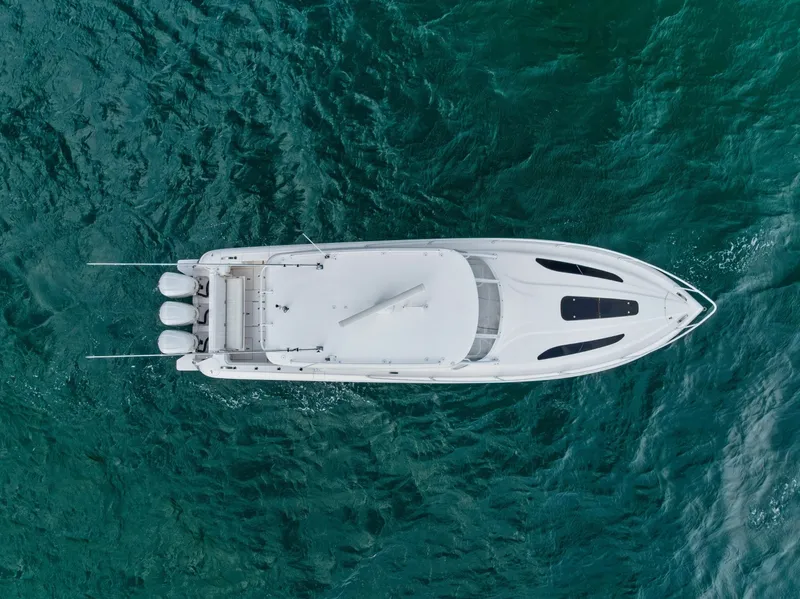 Slide: The Image of Intrepid 40 2019 - 7743095
