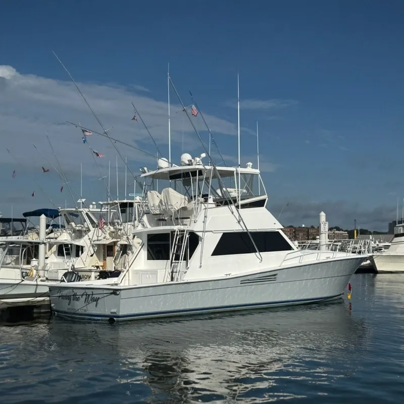 The Image of Viking 48 Convertible 1989 - 7853905
