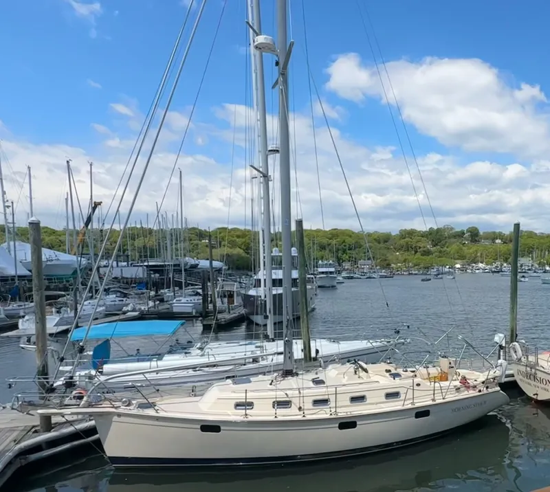 Slide: The Image of Island Packet 349 2019 - 7750267