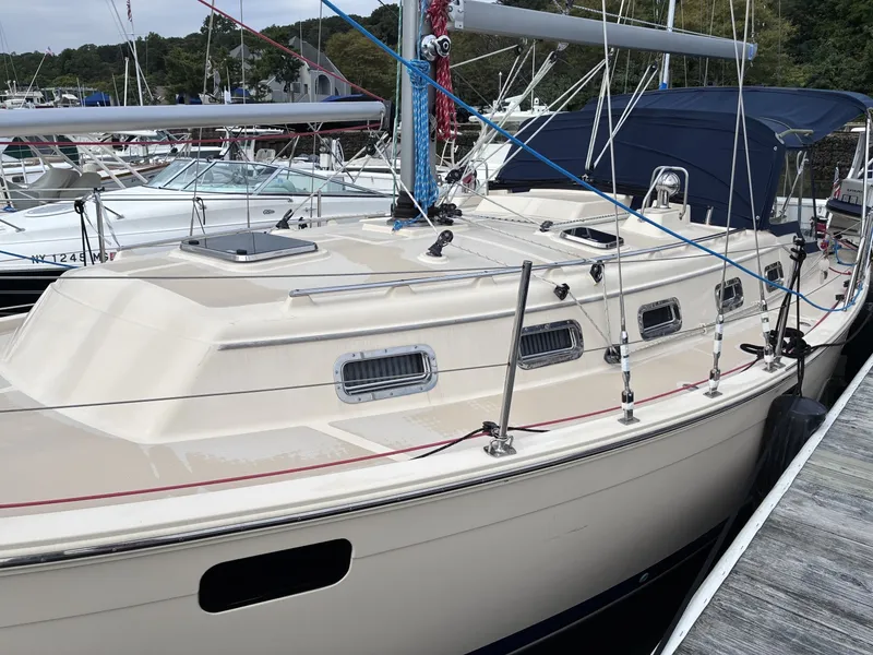 Slide: The Image of Island Packet 349 2019 - 7750277