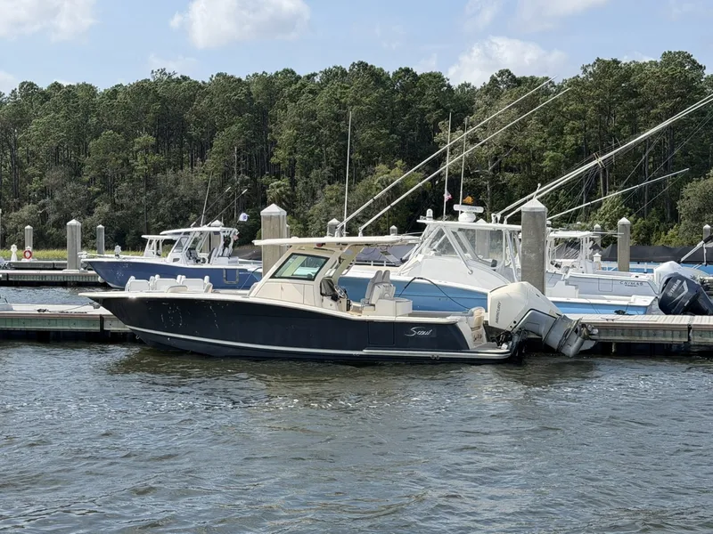The Image of Scout 305 LXF 2021 - 7750855