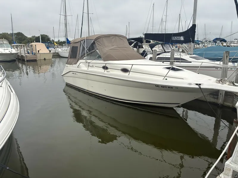 The Image of Sea Ray Sundancer 1999 - 7763592