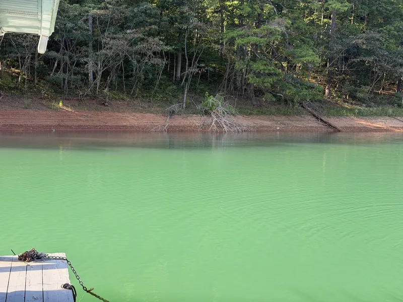 Slide: The Image of Wildlife viewed from Floating Cabin - 7766400
