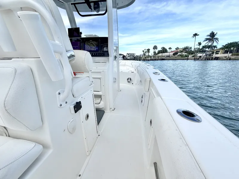 Slide: The Image of Sea Hunt 27 2017 - 7767061