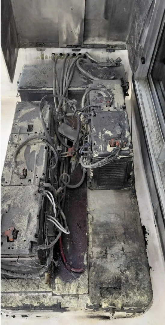 Slide: The Image of Leopard 48 2017 - 7930516