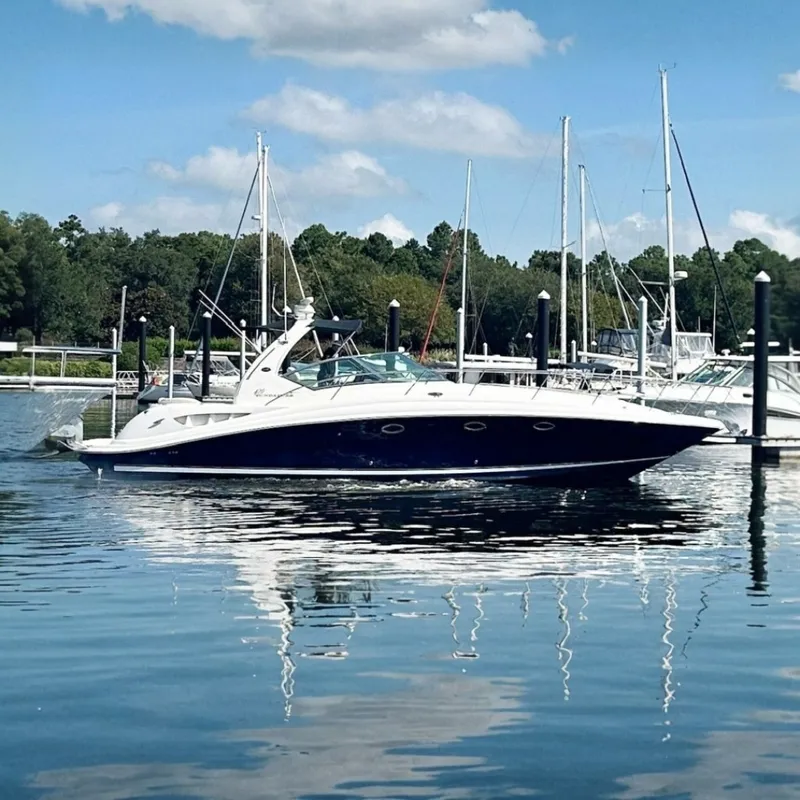 The Image of Sea Ray 420 Sundancer 2003 - 7770693