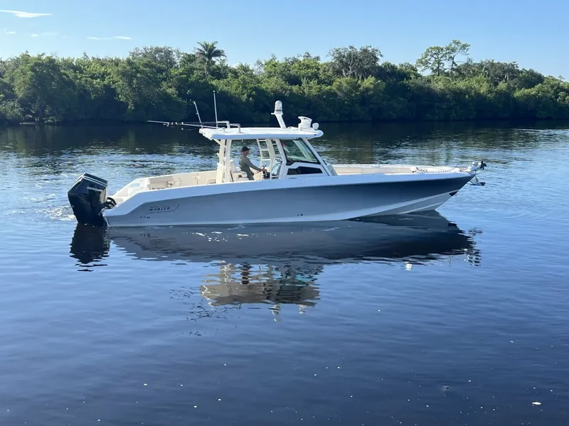 Slide: The Image of Boston Whaler 380 Outrage 2017 - 7851605