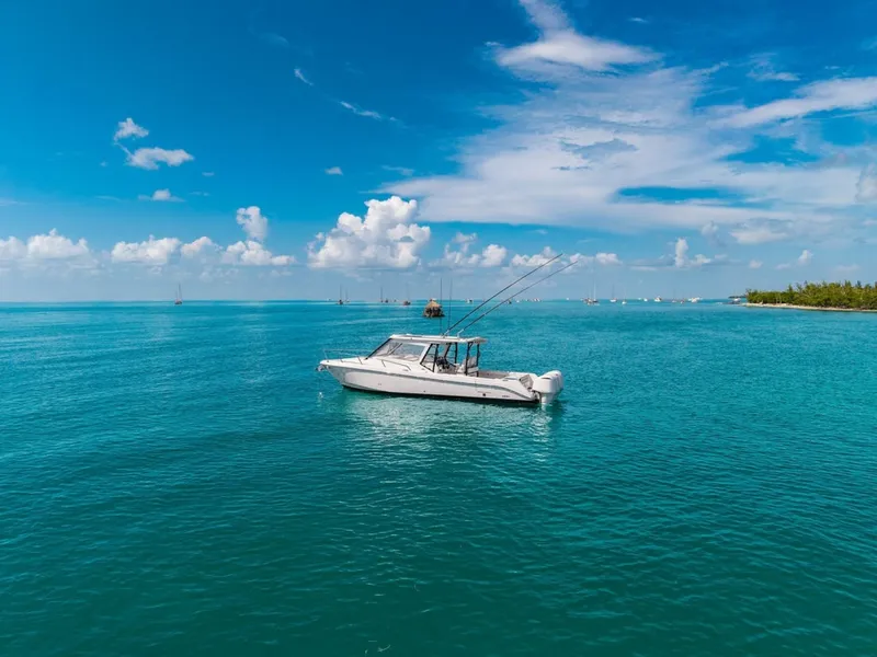 Slide: The Image of Everglades 35 2019 - 7803895