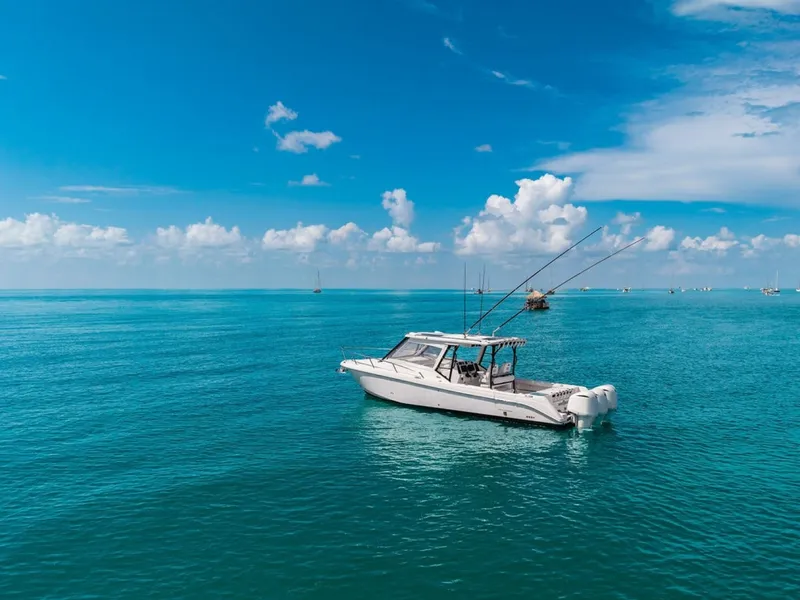 Slide: The Image of Everglades 35 2019 - 7803894