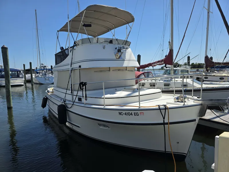 The Image of Camano Troll 31 "Bonjour" "Bonjour" a Loop Ready boat in fantastic condition - 7816724