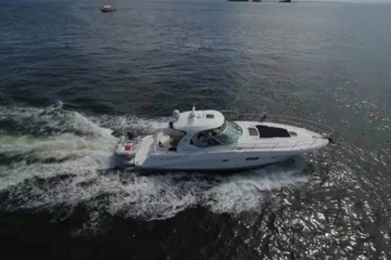 The Image of Sea Ray 44 2008 - 7817673