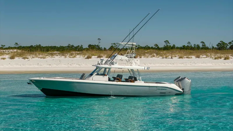 Slide: The Image of 2024 Everglades 455- BURNING RODS - 7824335