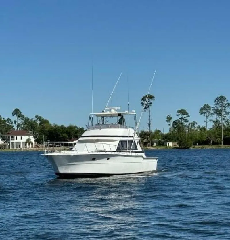 The Image of Ricker 48 Convertible 1989 - 7821727
