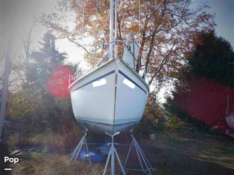 Slide: The Image of Hunter 30 1989 - 11551662