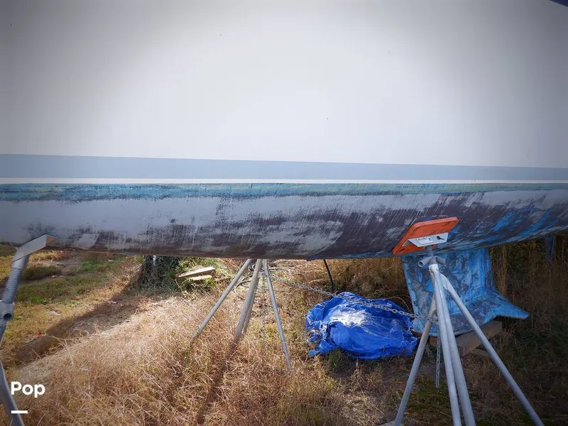 Slide: The Image of Hunter 30 1989 - 11551664