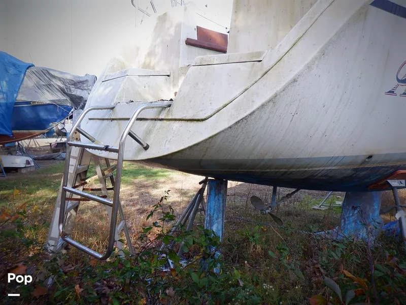 Slide: The Image of Hunter 30 1989 - 11551674