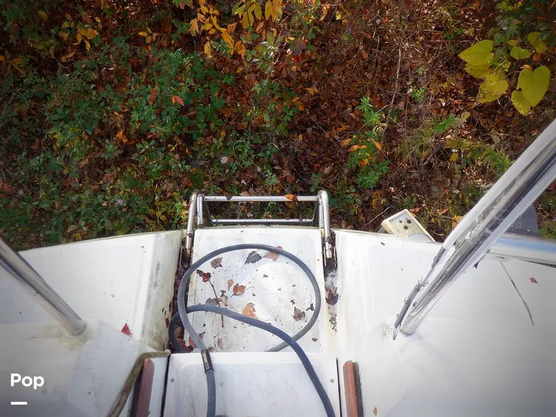 Slide: The Image of Hunter 30 1989 - 11551772