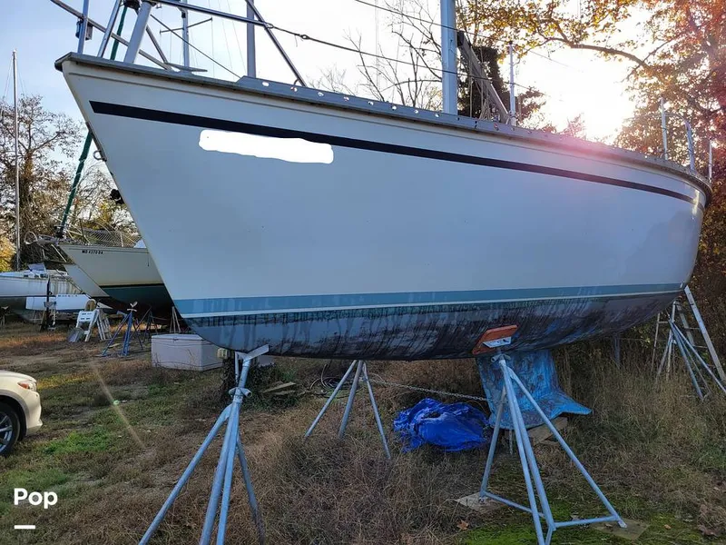 Slide: The Image of Hunter 30 1989 - 11562272