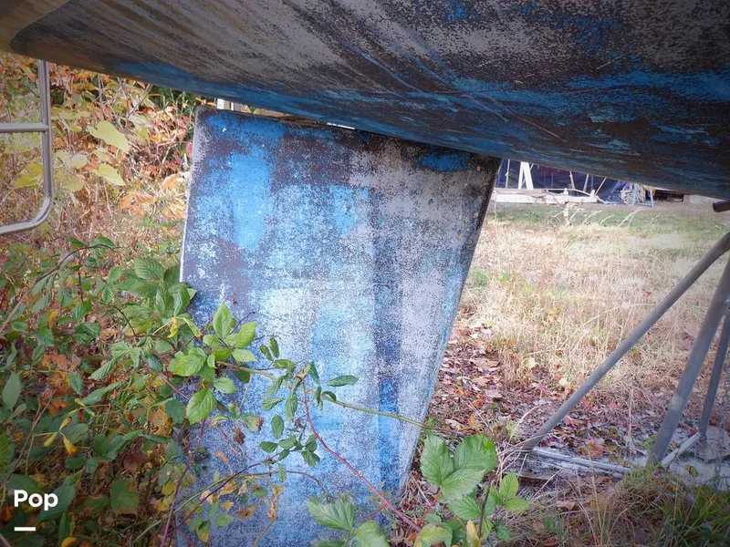 Slide: The Image of Hunter 30 1989 - 11551673