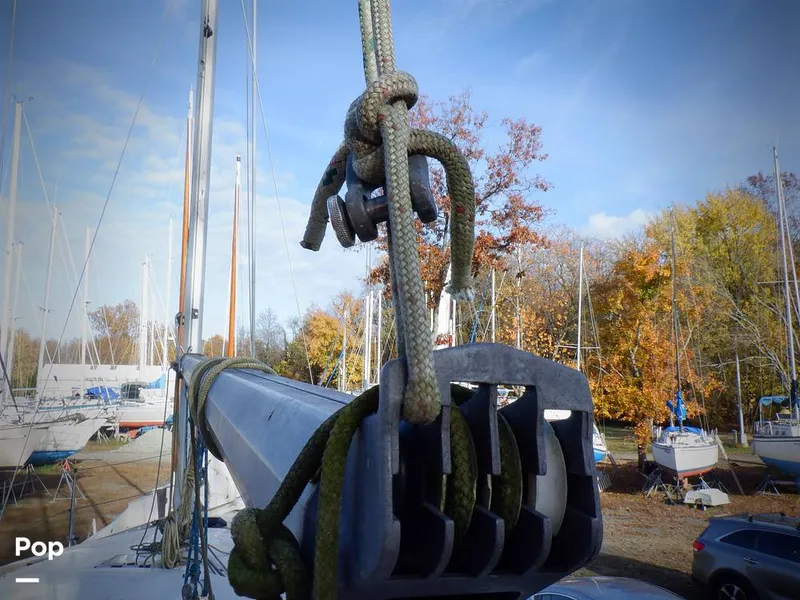 Slide: The Image of Hunter 30 1989 - 11551780