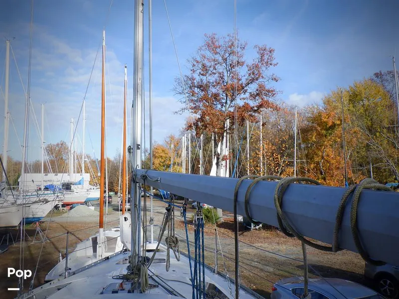 Slide: The Image of Hunter 30 1989 - 11551781