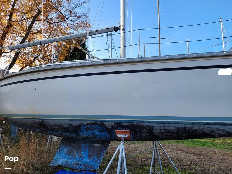 Slide: The Image of Hunter 30 1989 - 11562274