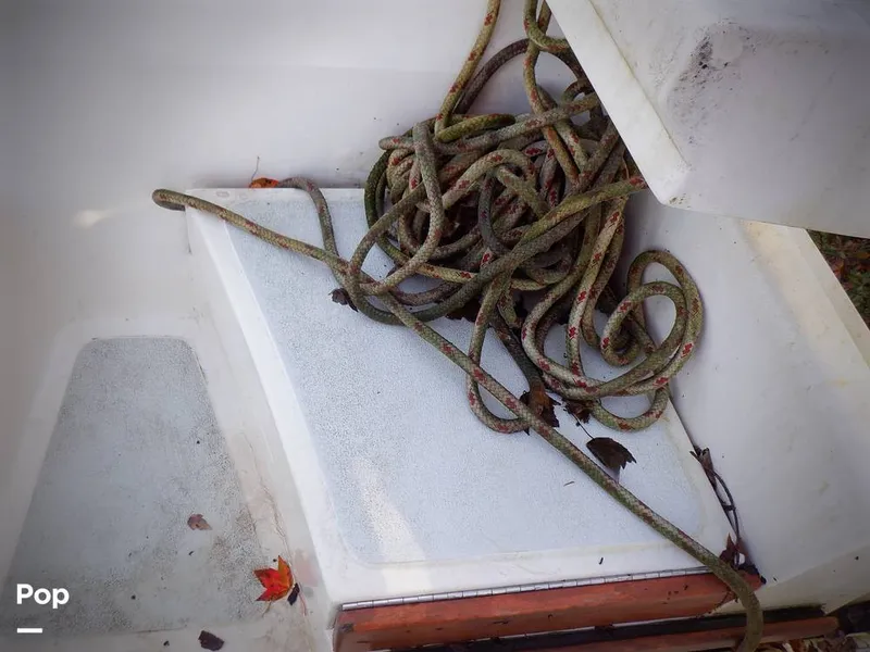 Slide: The Image of Hunter 30 1989 - 11551699