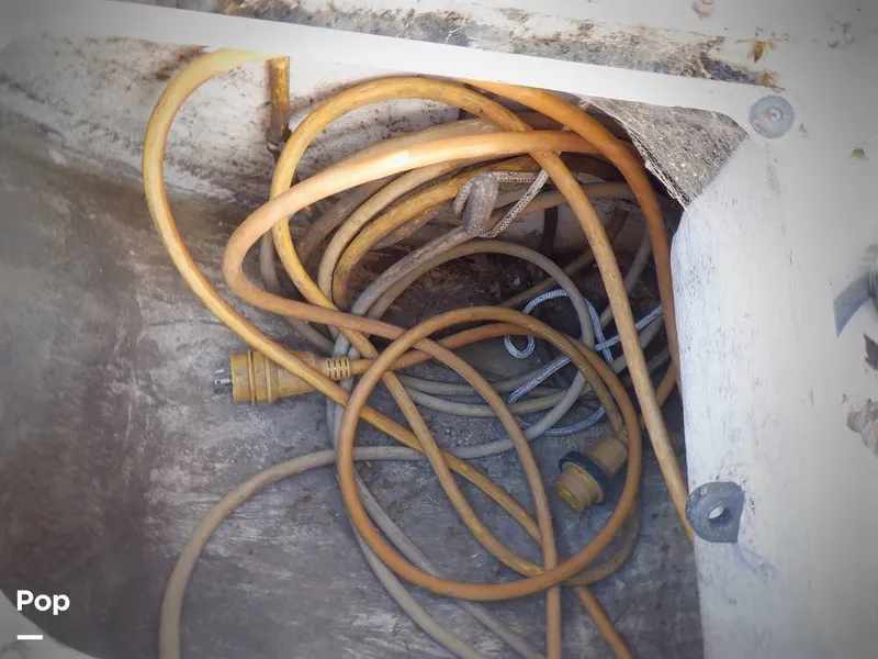 Slide: The Image of Hunter 30 1989 - 11551775