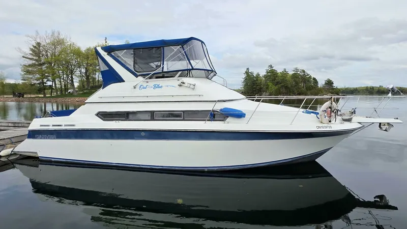 The Image of 1989 Carver Santego 38 - 7826654