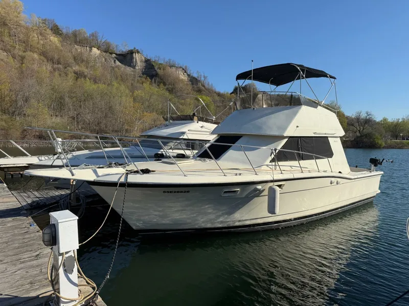 The Image of 1984 Hatteras 36 Convertible 36 - 7827830