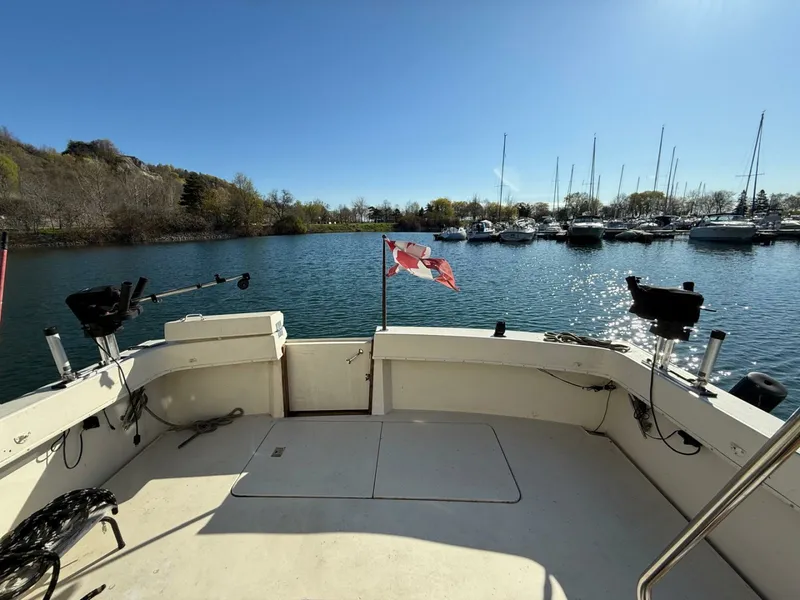 Slide: The Image of 1984 Hatteras 36 Convertible 36 - 7827852
