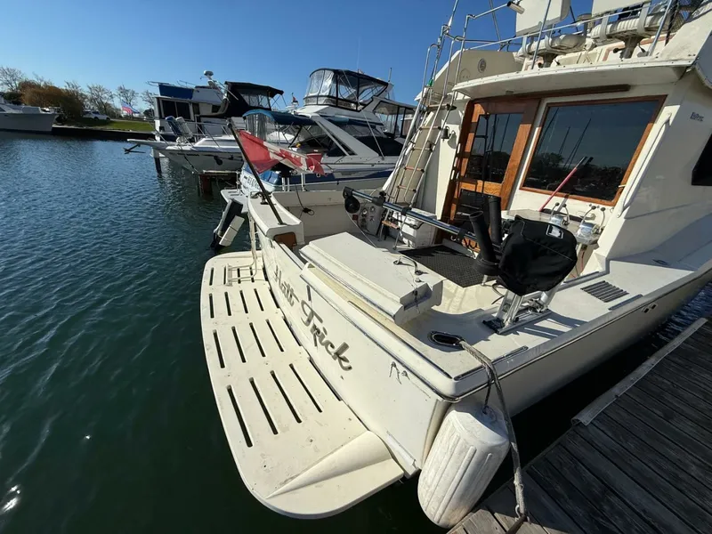 Slide: The Image of 1984 Hatteras 36 Convertible 36 - 7827842