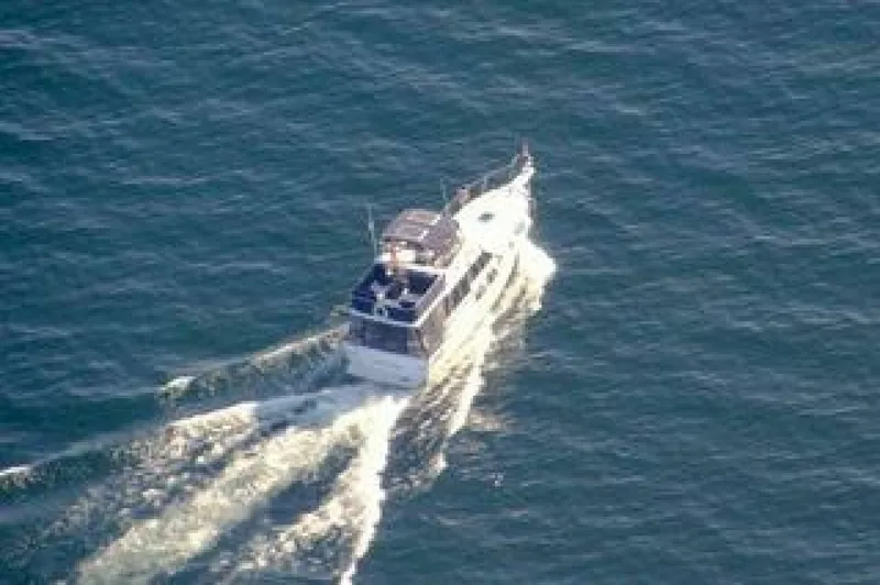 Slide: The Image of 1986 Bayliner 3270 32 - 7829901