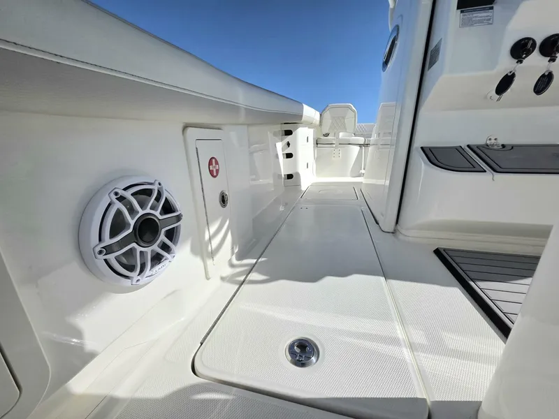 Slide: The Image of World Cat 32 2026 - 7831772