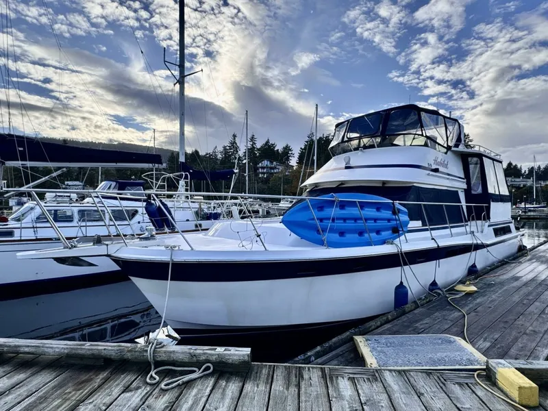 The Image of 1997 Camargue Yachtfisher 48 - 7833094