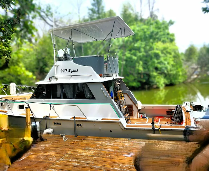 The Image of 1982 MAINSHIP 34 34 - 7833567