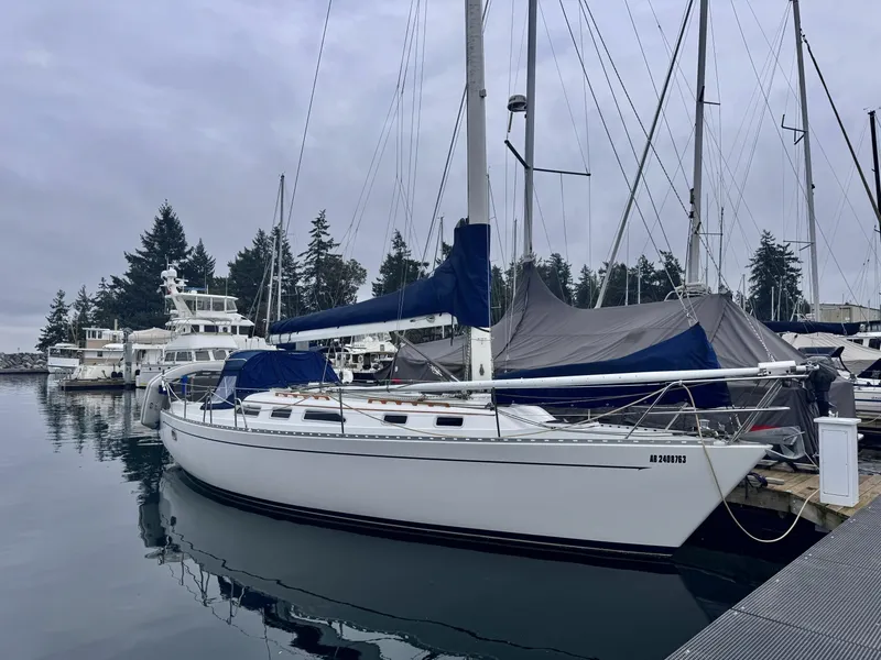 Slide: The Image of 1991 Freedom 38 38 - 7833571