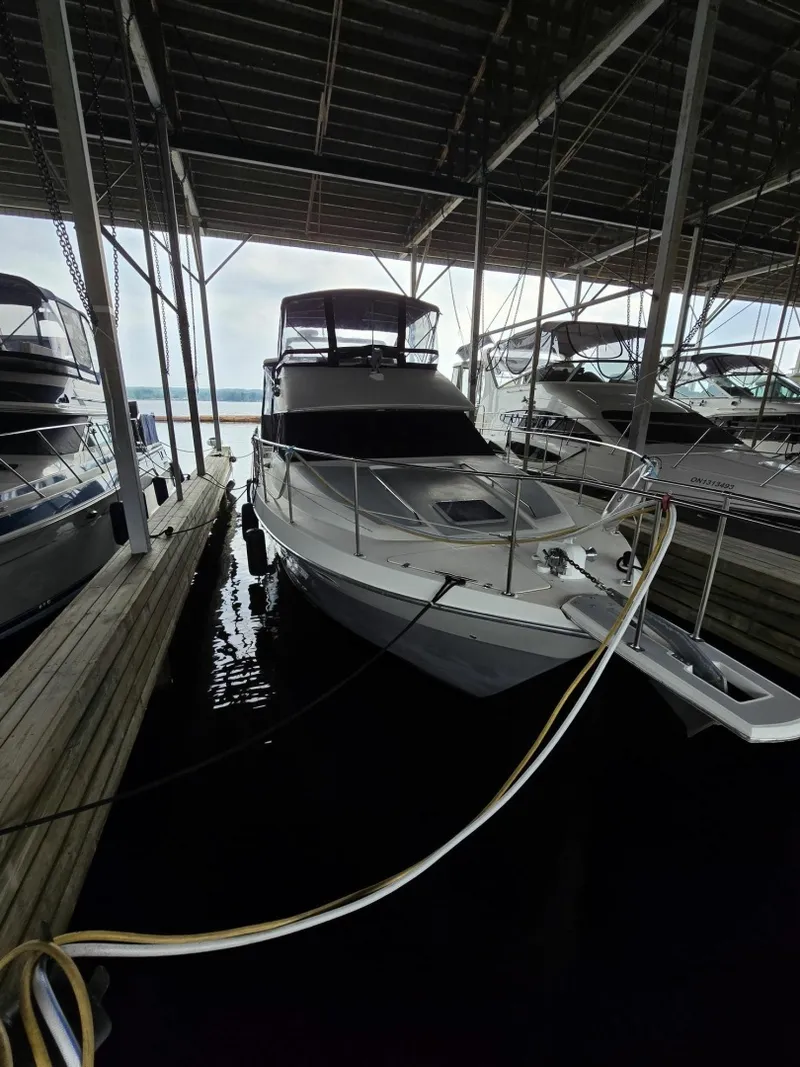 Slide: The Image of 1990 Bayliner 4387 Motoryacht 43 - 7834201