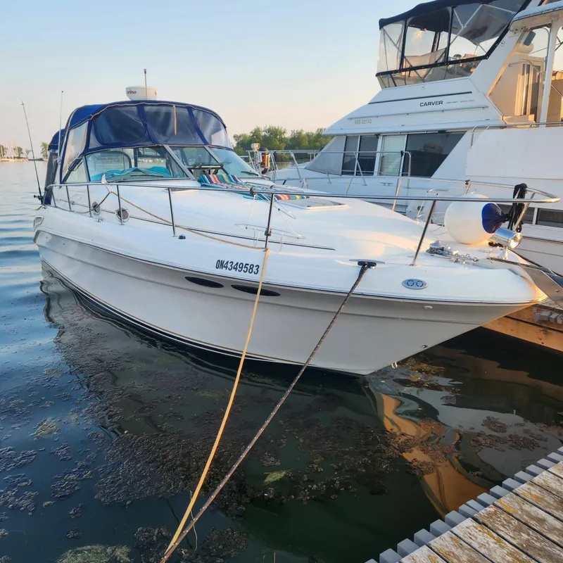 The Image of 2001 Sea Ray 340 Sundancer 34 - 7834590