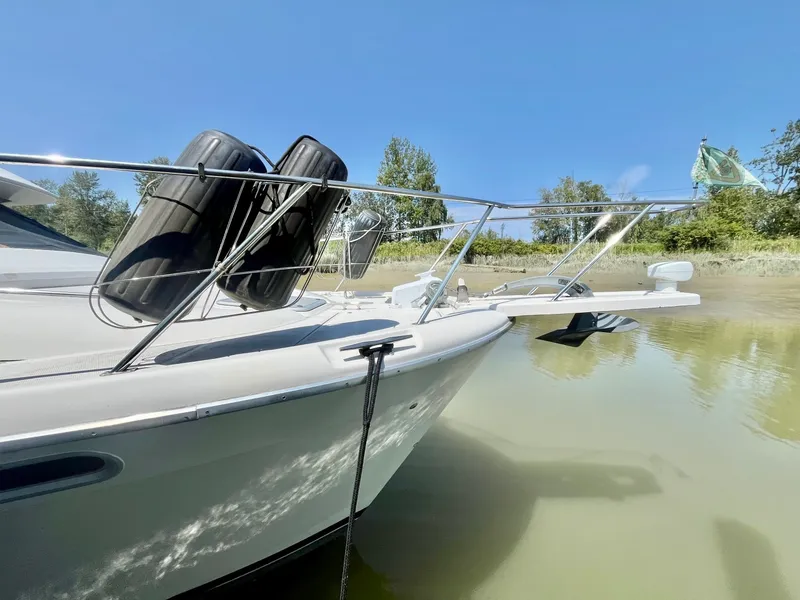 Slide: The Image of 1996 Bayliner 3988 39 - 7835241