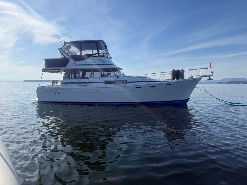Slide: The Image of 1985 Bayliner 3870 Motoryacht 38 - 7836953