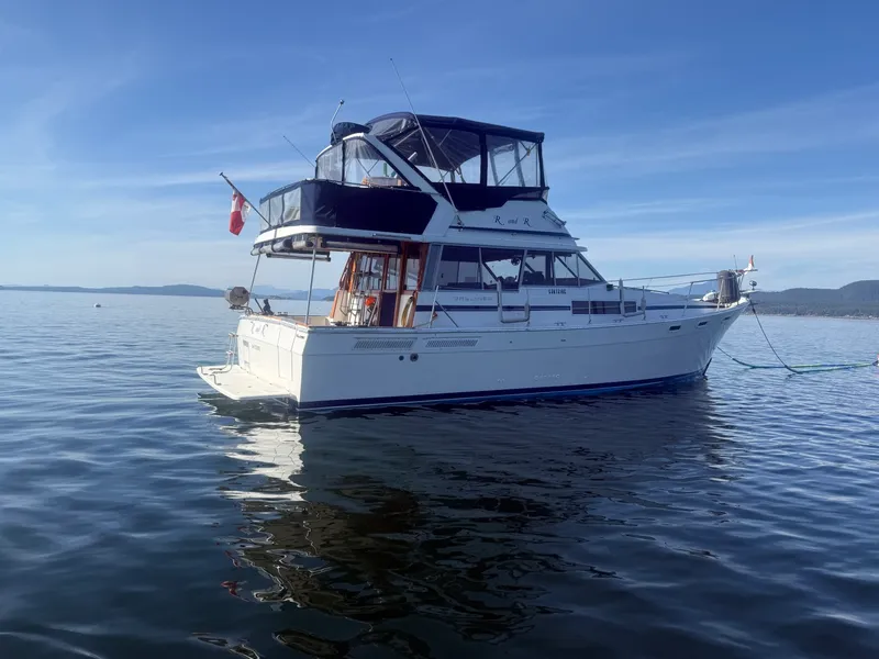Slide: The Image of 1985 Bayliner 3870 Motoryacht 38 - 7836952