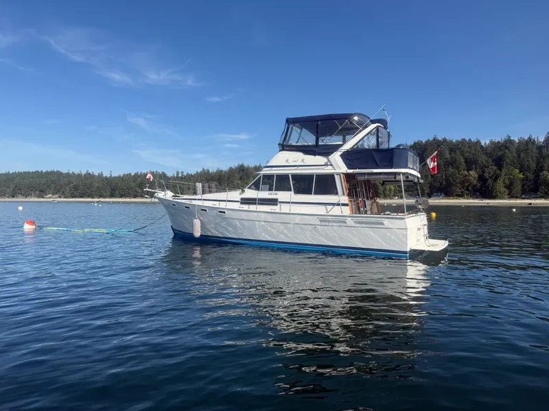 The Image of 1985 Bayliner 3870 Motoryacht 38 - 7836947