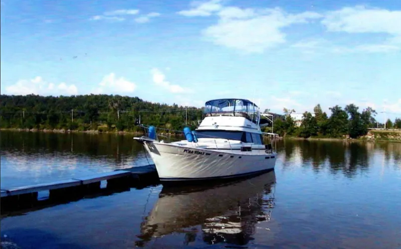 The Image of 1985 Bayliner  3870 - 7837328