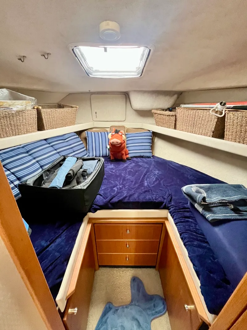 Slide: The Image of 2000 Bayliner 3388 - 7837609